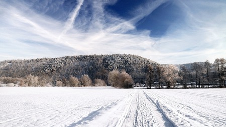 Winter - forest, road, beautiful, village, white, nature, path, winter, pretty, landscape, beauty, peaceful, sky, clouds, lovely, woods, trees, snow