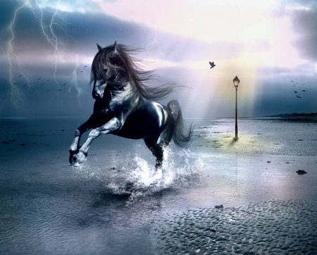 Running Away From The Storm - storm, black, horses, dutch, friesian, tempest