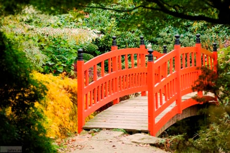 Bridge - place, flowers, bridge, tree, nature