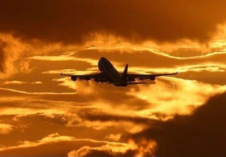 Homeward Bound - sky, plane, sunset, clouds