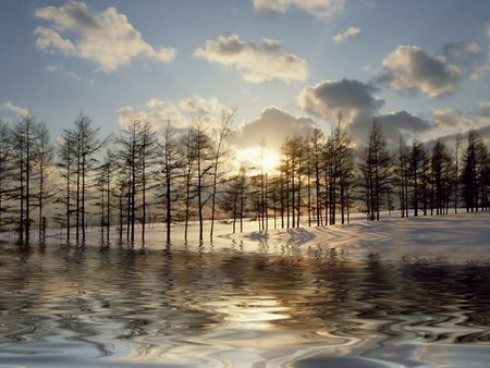 A Winter Sunset - snow, winter, sunset, pond