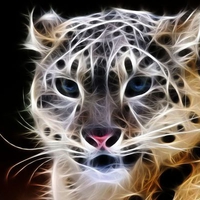 Handsome vectorleopard