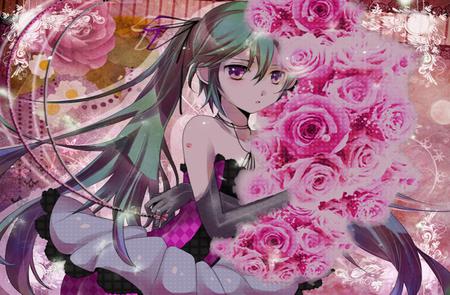 Hatsune Miku - pretty, artistic, real, pink, flowers, nice, program, hot, thighhighs, beauty, virtual, white, cute, aqua eyes, song, sexy, vocaloid, anime, twintail, dress, hatsune miku, lolita, pink rose, music, aqua, red, art, idol, anime girl, skirt, realistic, beautiful, singer, girl, cool, black, colorful, miku, awesome, diva, rose, aqua hair, hatsune, vocaloids