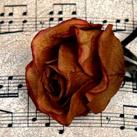 Music for Rose