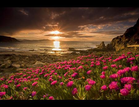 Sea Sunset - hill, sky, beach, sunset, fullcolours, red, beautiful, flowers, sea