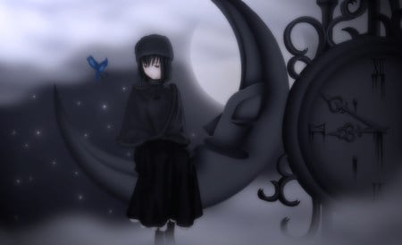 I'm Alone... - moon, bird, anime, animal, mahou tsukai no yoru, alice, stars