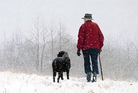 Best Friends - trees, man, dog, snow, winter, friends