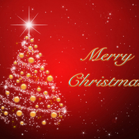 Marry Christmas To You All