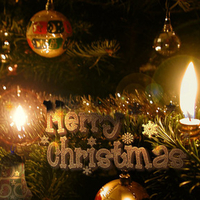 Marry Christmas