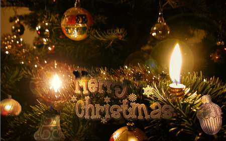 Marry Christmas - nice, christmas tree, holidays, candles, tree, christmas