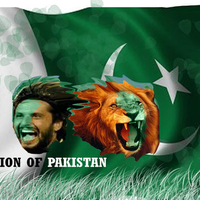 Lion of Pakistan - Afridi