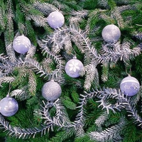 Purple christmas decoration