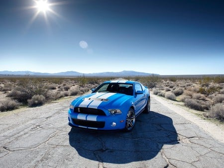 Mustan  shelby_gt 500 - mustan, gt, vehicule, car