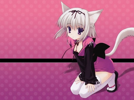 neko anime girl - neko, cute, girl, pink background