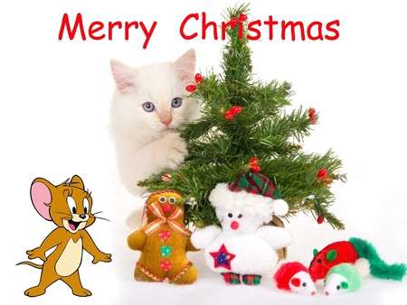 Merry Christmas From Jerry 46 - 46, jerry, cat, christmas