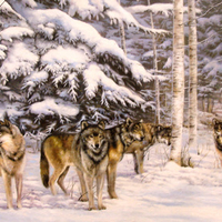 wolves