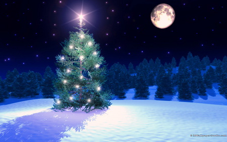 How lovely are your branches - moon, christmas time, stars, snow shadow, night, tree, lights