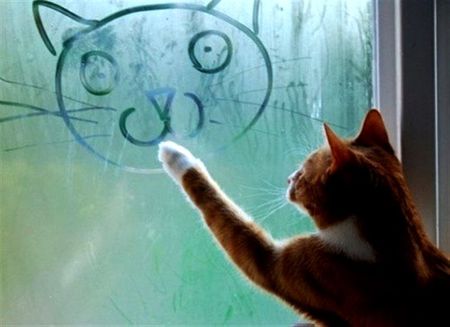 Cat artist - draw, abstract, fog, window, cat, pet, animal, kitten, cute, art