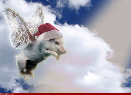 New Santa - sky, popular, pig, fantasy, christmas, white, santa, holidays, abstract, clouds, fly, new