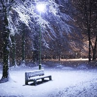 Winter Night