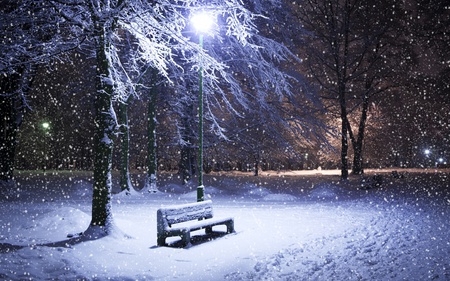 Winter Night - pretty, snowflakes, blue, snow, night, forest, light, walk, lantens, bench, other, winter, beautiful, beauty, lovely, tree, nature, flakes, lights, cold, peaceful, park