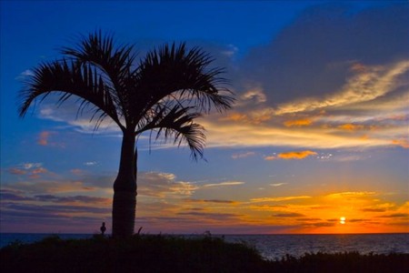 Miami-Beach-Sunrise - picture, beach, miami, beautiful, sunrise