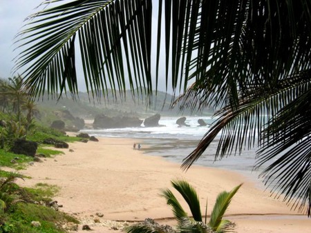 Batsheba_Beach_Barbados - picture, barbados, beach, cool, batsheba