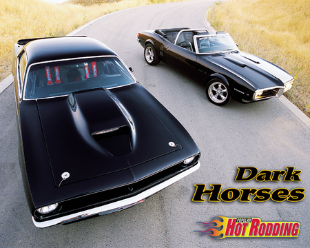 Dark Horses - cars, muscle, black, firebird