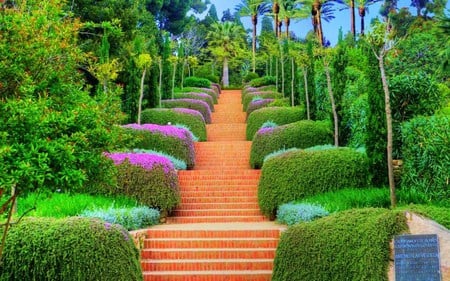 trail of life - nature, green, garden, flower