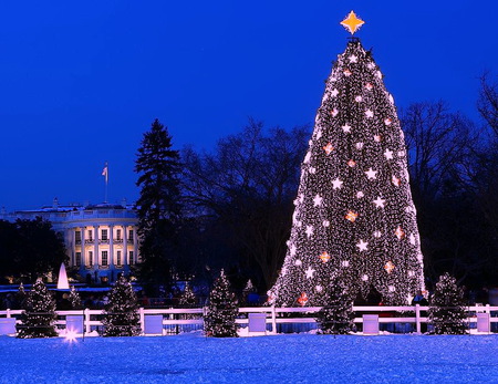 White House Christmas tree