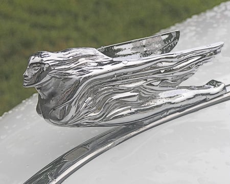 Chevy - ornament, car, hood, chevy