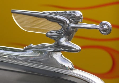 Packard - hood, car, packard, ornament, classic