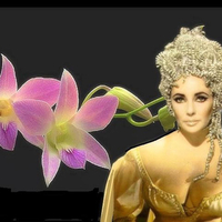 Elizabeth Taylor