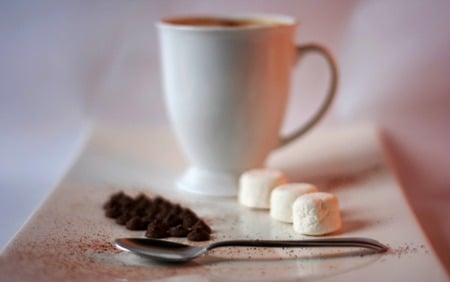 Hot Chocolate - cocoa, marshmellows, warm, winter, chocolate