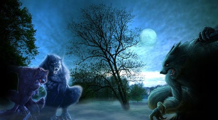 Werewolves - moon, werewolves, sky, dark, howl, creature, fantasy, werewolf