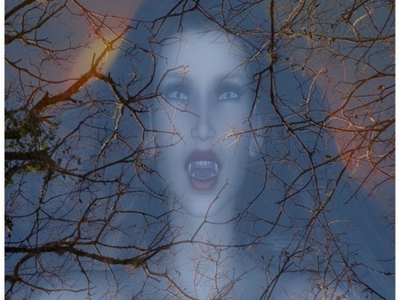 Vamp Image - moon, red, tree, vamp