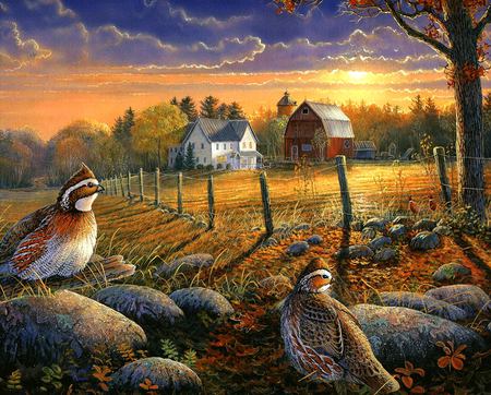 Evening Falls - farm, fence, trees, quail, field, sunset, rocks, painting, artwork, clouds, house, birds, barn