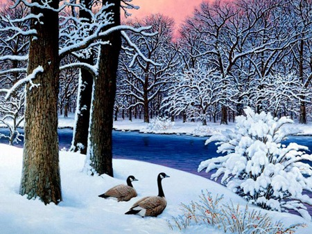 Soul Mates - trees, geese, water, winter, berries, bushes, white, ducks, woods, snow, river, seasonal