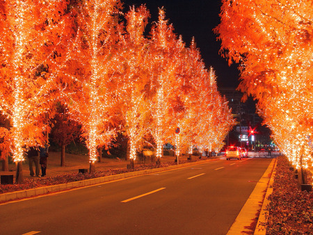 Fiery trees - new year, street, photography, night, christmas, amazing, cool, red, decorations, lights