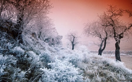 Road to nowhere - ice, nature, amazing, landscape, snow, beautiful, winter