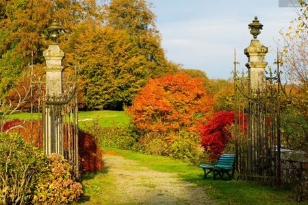 Quiet Place - nature, quiet, beautiful, place, flowers