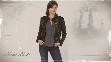 Stana Katic - sexy, actress, drama, stana katic, tv series, film, heroes, beautiful, crime, castle