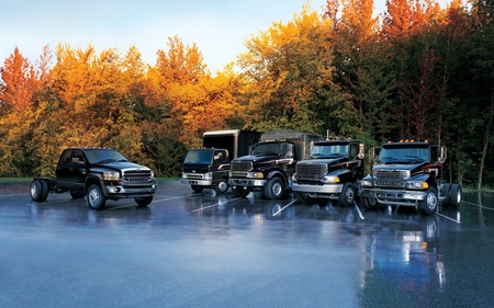 trucks and more trucks - sky, pick up, trees, rigs