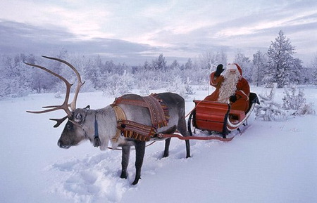 Who did You say is outside? - christmas time, santa, reindeer, trees, sleigh, snow, winter, wave