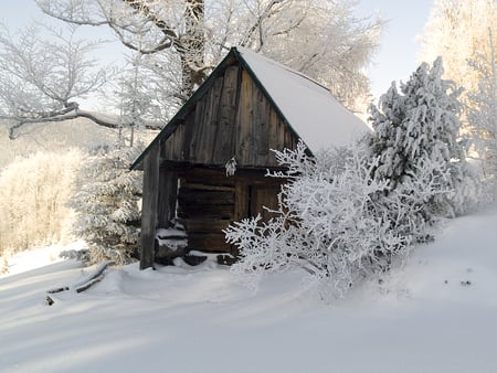 Winter time - snow, trees, winter, cottage