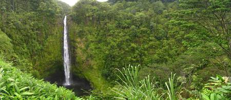 AKAKA_FALLS - nature, wather, green, fall