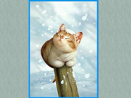 Nice kitten on trunk - trunk, snow, kitten, cat