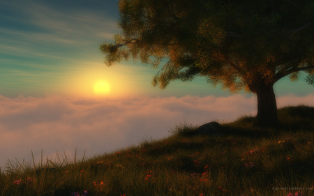 worldsedge - tree, art, sunset, cloud