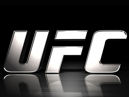 Silver UFC - black, mma, logo, silver, fight, ufc