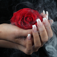 rose